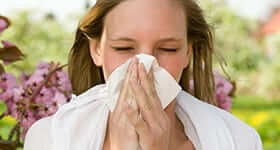Spring is Almost Here So are Its Allergens