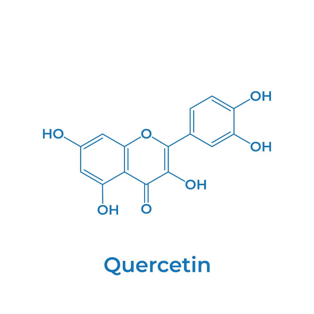 Quercetin Benefits for Autism and Autism Spectrum Disorders