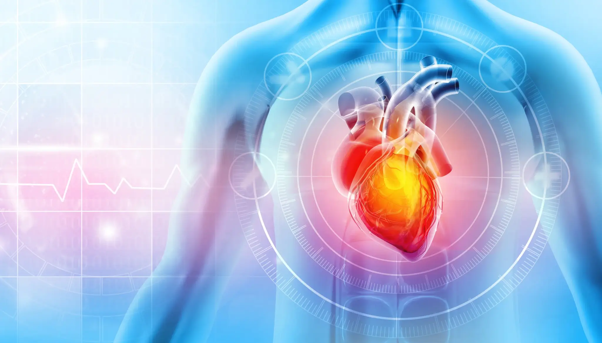 holistic medicine and inflammatory heart disease