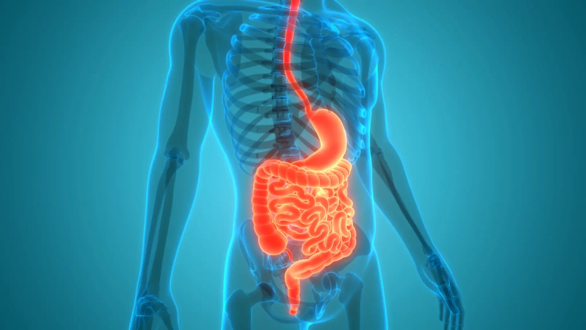 Digestive Disorders chrons, celiac, and IBS