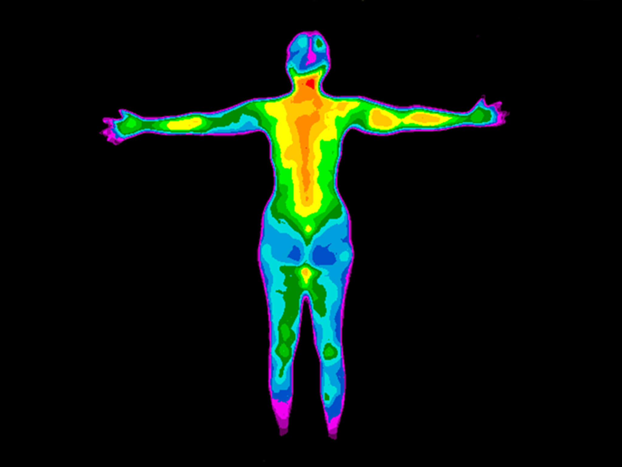 Thermographic Image Of The Back Of The Whole Body Of A Woman